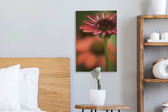 Fleur d'échinacée rouge en fleurs 20x30 cm - petit - Tirage photo sur toile (Décoration murale salon / chambre)
