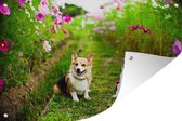 Corgis parmi les fleurs affiche de jardin toile en vrac 90x60 cm - Toile de jardin / Toile d'extérieur / Peintures pour l'extérieur (décoration de jardin)
