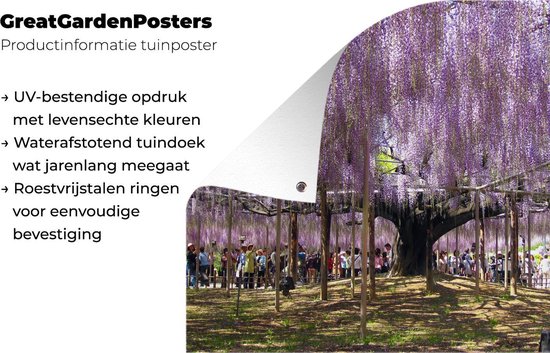 Affiche jardin - Glycine à l'ombre - 120x90 cm