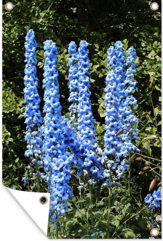 Tuindecoratie Babyblauwe Delphinium bloemen - 40x60 cm - Tuinposter - Tuindoek - Buitenposter