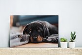 Canvas Schilderij Schattige Rottweiler pup ligt op de vloer - 30x20 cm - Wanddecoratie