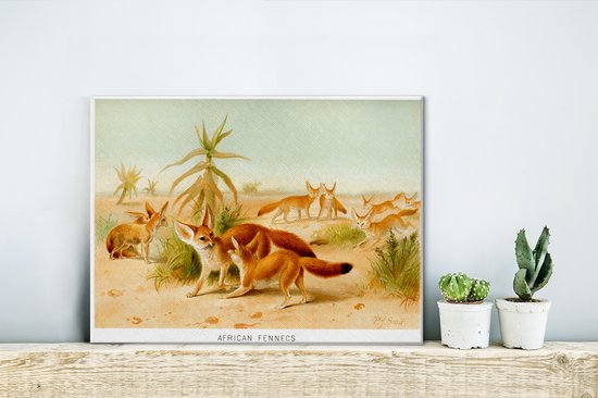 Illustration du renard Fennec dans le désert toile 40x30 cm - petit - Tirage photo sur toile (Décoration murale salon / chambre) / Animaux sauvages Peintures sur toile