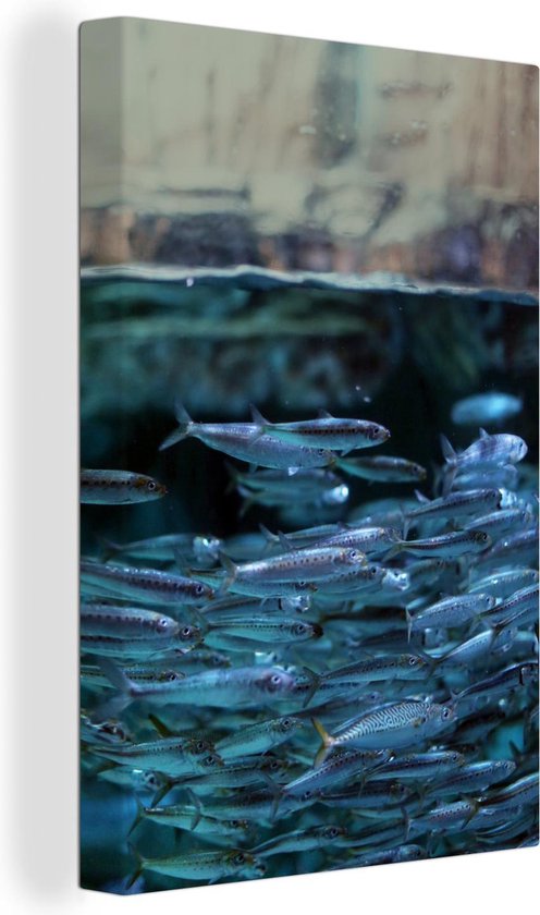 boven en onderwater vissen Canvas 20x30 cm - Foto print op Canvas schilderij (Wanddecoratie)