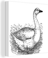 Une illustration d'un canard en toile d'herbes hautes 20x20 cm - petit - Tirage photo sur toile (Décoration murale salon / chambre) / Animaux de la ferme Peintures sur toile