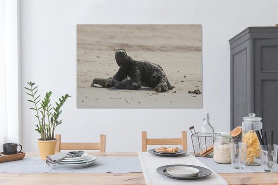 Paresseux sur la plage dans le parc national de Manu au Pérou Toile 120x80 cm - Tirage photo sur toile (Décoration murale salon / chambre)