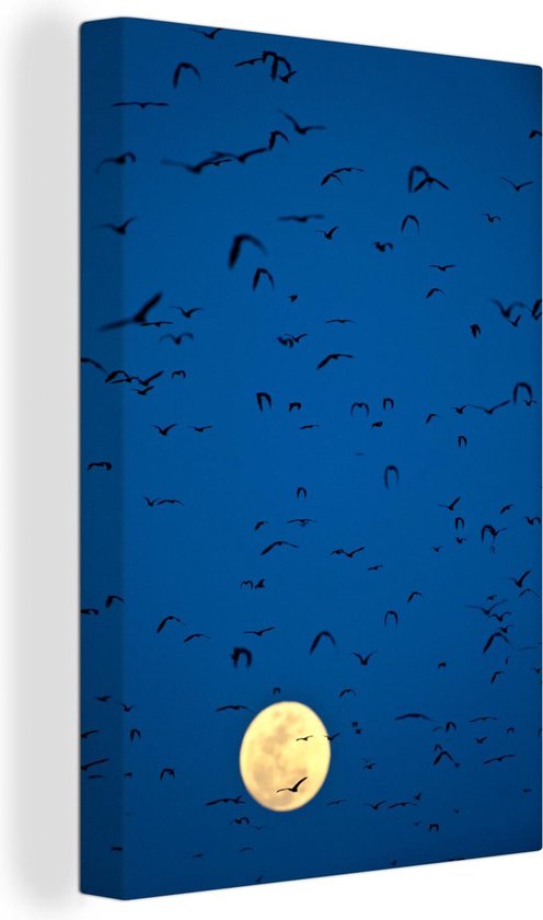 Vleermuizen voor volle maan Canvas 120x180 cm - Foto print op Canvas schilderij (Wanddecoratie)
