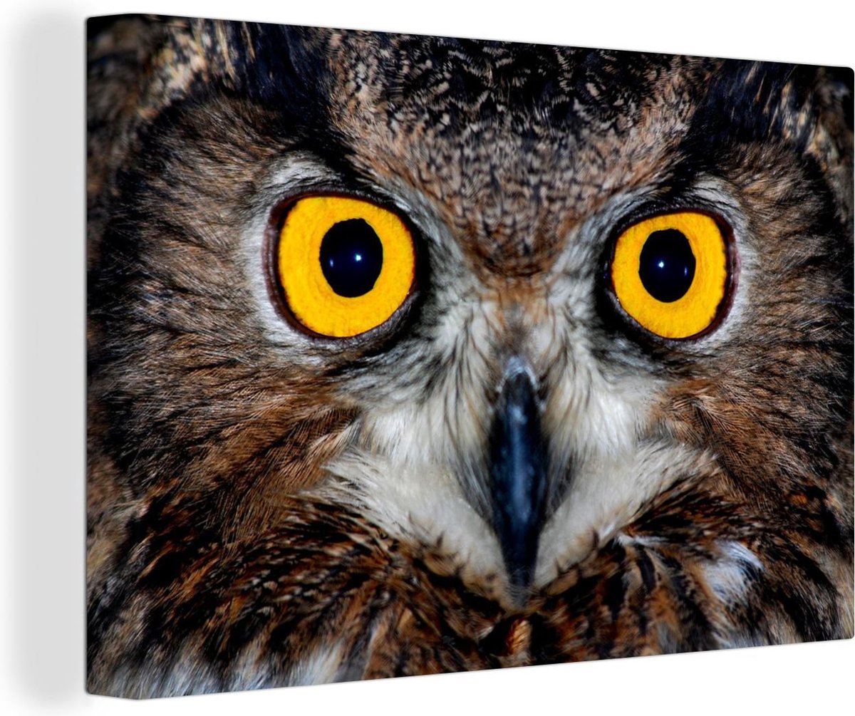 Gros plan d'un hibou grandduc aux yeux jaune vif Toile 120x80 cm — free download
