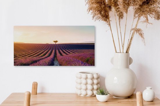 Image d'un champ de lavande violette dans la toile française de Valensole 40x20 cm - Tirage photo sur toile (Décoration murale salon / chambre) / Peintures Fleurs sur toile
