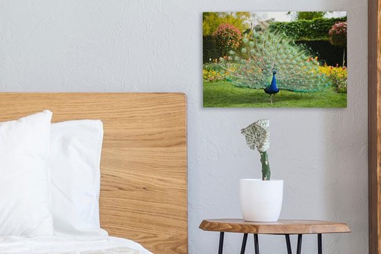 Paon aux plumes étalées dans un jardin Toile 30x20 cm - petit - Tirage photo sur toile (Décoration murale salon / chambre)