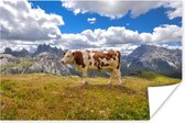 Kleurrijke afbeelding van een Alpen koe poster 60x40 cm - Foto print op Poster (wanddecoratie woonkamer / slaapkamer) / Boerderijdieren Poster