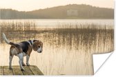 Beagle bij een meer Poster 120x80 cm - Foto print op Poster (wanddecoratie woonkamer / slaapkamer) / Huisdieren Poster