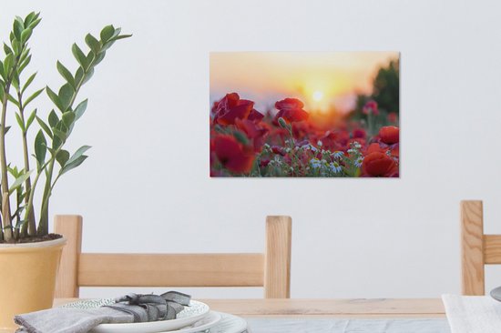 Coquelicots avant le soleil couchant toile 2cm 30x20 cm - petit - Tirage photo sur toile (Décoration murale salon / chambre)