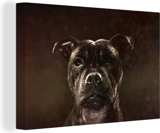 Canvas Schilderij Portret van een Staffordshire Bull Terrier - 150x100 cm - Wanddecoratie