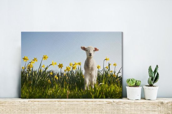 Agneau aux jonquilles 30x20 cm - petit - Tirage photo sur toile (Décoration murale salon / chambre)