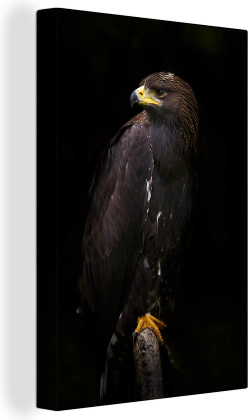 Canvas schilderij 90x140 cm - Wanddecoratie Arend - Dier - Bruin - Muurdecoratie woonkamer - Slaapkamer decoratie - Kamer accessoires - Schilderijen