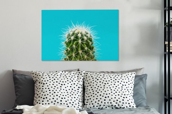 Cactus sur toile bleue 2cm