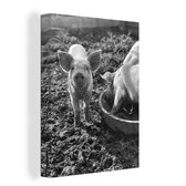 Toile de cochon heureux dans la boue 2cm