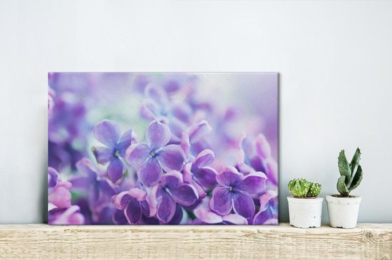 Gros plan d'un lilas violet 30x20 cm - petit - Tirage photo sur toile (Décoration murale salon / chambre) / Peintures Fleurs sur toile