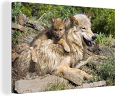 Peintures sur Toile Loup - Cub - Animal - 150x100 cm - Décoration murale