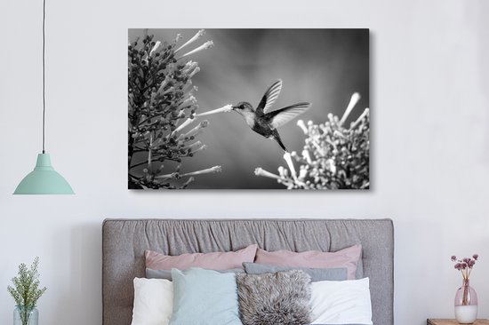 Nymphe des bois couronnée violette dans le parc national du Costa Rica en toile noir et blanc 2cm 150x100 cm - Tirage photo sur toile (Décoration murale salon / chambre) / Animaux sauvages Peintures sur toile