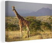 Canvas Schilderij Giraffe - Landschap - Afrika - 60x40 cm - Wanddecoratie