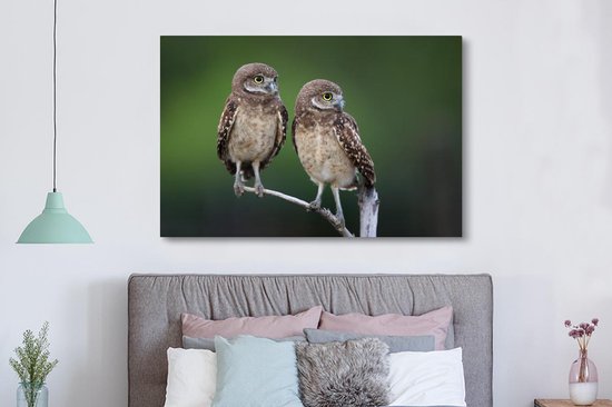 Tableau sur toile Deux hiboux des cavernes sur une branche - 150x100 cm - Décoration murale