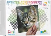 Pixelhobby Classic Kat - 20 x 25 cm - Bestaat uit 4 basisplaten