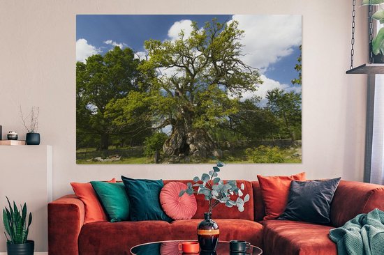 Tableau sur toile 150x100 cm - Décoration murale Le chêne de Rumskulla dans le parc national de Norra Kvill - Décoration murale salon - Décoration chambre - Accessoires chambre - Peintures