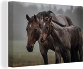 Quarter horse avec poulain dans brumeux pré 30x20 cm - petit - impression photo sur toile peinture (Décoration murale salon / chambre à coucher) / Mammifères toile Peintures