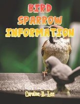 Bird Sparrow Information