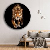 KEK Original - Dieren Luipaard - wanddecoratie - 80 cm diameter - muurdecoratie - Plexiglas 5mm - Acrylglas - Schilderij- Muurcircel