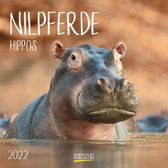 Nilpferde 2022