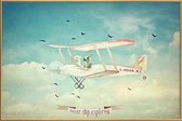 JUNIQE - Poster met kunststof lijst Never Stop Exploring III -30x45