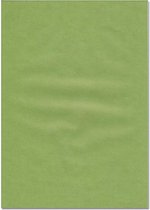 Pergamano 5 vellen A4 150gr code 62905 herfstgroen