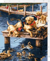 Schilderen op Nummer Hond Puppies  40x50 met Frame Volwassenen Kinderen - Kleuren op Nummer - Paint by Number - Hobbypainting.nl®