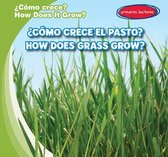 ?Como Crece El Pasto? / How Does Grass Grow?