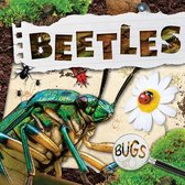 Bugs- Beetles