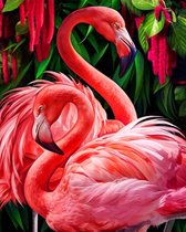 Dielay - Diamond Painting Pakket - Flamingo's - 50x40 cm - Complete Set - Volledige Bedekking - Ronde Steentjes