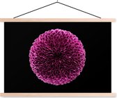 Posterhanger incl. Poster 90x60 cm - Schoolplaat - Een bolvormige paarse Chrysanthemum bloem op een zwarte achtergrond - Textielposter - Blanke latten