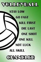 Volleyball Stay Low Go Fast Kill First Die Last One Shot One Kill Not Luck All Skill Chandler