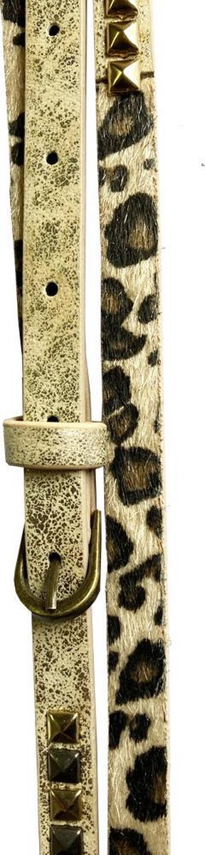 Damesriem Panter – Lang en Smal – Goudkleur met studs – 100cm / 1cm
