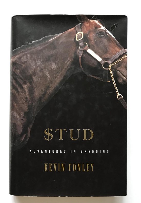 Stud - cover
