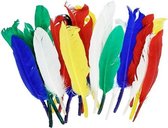 Indianenveren Kleurenmix - 12-15cm hoog - 20 Stuks