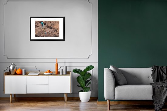 Image encadrée - Cadre photo Un lézard de feu sur les rochers 60x40 cm - Affiche encadrée (Décoration murale salon / chambre)