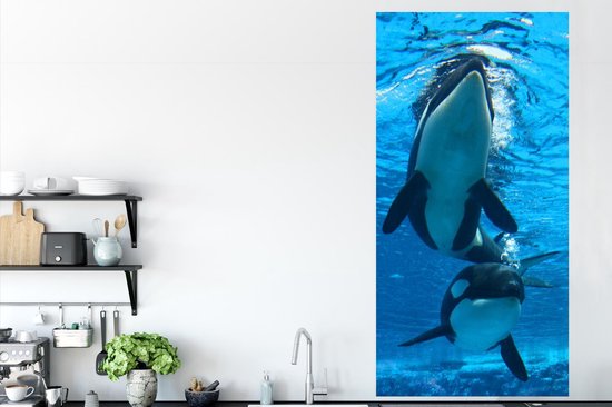 Affiche Deux orques sous l'eau - 80x160 cm