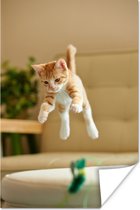 Springende kat poster papier 120x180 cm - Foto print op Poster (wanddecoratie woonkamer / slaapkamer) / Huisdieren Poster XXL / Groot formaat!