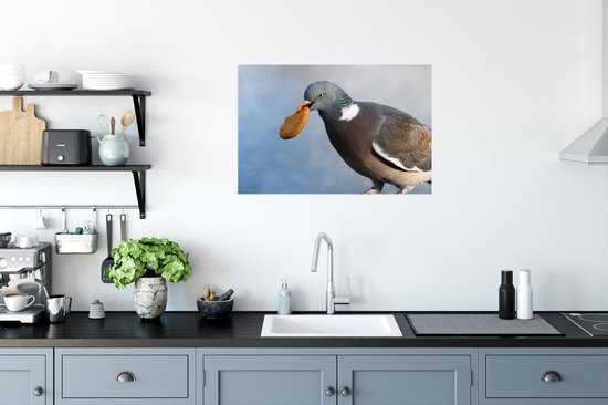 Poster Un vilain pigeon avec un biscuit dans la bouche 60x40 cm - Tirage photo sur Poster (décoration murale salon / chambre) / Poster Vogels