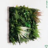 .art Frame Jungle - zilver ingelijste kunstplanten