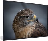 Cadre photo avec affiche - Une buse de près - 60x40 cm - Cadre pour affiche