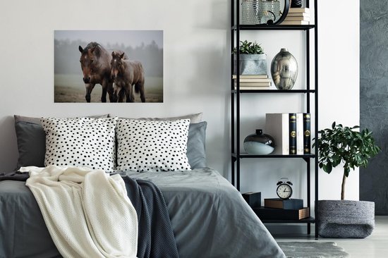 Quarter horse et poulain marchent vers la caméra 90x60 cm